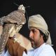 الصقارون الخليجيون يشعلون منافسات مهرجان الملك عبدالعزيز للصقور في دورته الثانية 