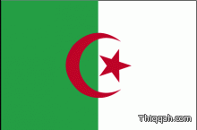 الجزائر ترفض الاعتراف بثوار ليبيا  