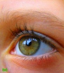 دراسة علمية تظهر إحراز تقدم مهم في علاج العمى بحقن الخلايا الجذعية 