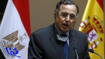 فهمي: الانتخابات الرئاسية المصرية بداية صيف 2014
