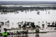السكان والثعابين يتصارعون للنجاة من السيول في شرق استراليا 