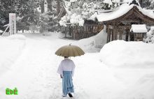مقتل 83 شخصا في اليابان بسبب الأحوال الجوية السيئة