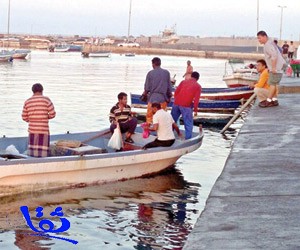 منع المقيمين من الصيد يرفع أسعار السمك في "المدينة"