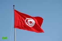 نسبة البطالة في تونس ترتفع إلى 27 %