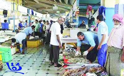 شيخ صيادي جدة: أسعار الأسماك ستواصل الصعود