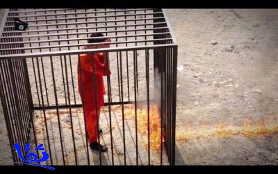 المملكة : حرق الطيار الأردني عمل بربري لا تقره مبادئ الإسلام