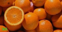 دراسة: البرتقال والجريب فروت يقللان من فرص الإصابة بالسكتة الدماغية
