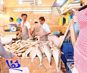 9 فروق تحدد أسعار أسماك الشرقية