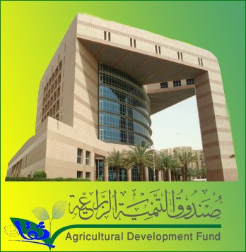  صندوق التنمية الزراعية ينفي توقف القروض 