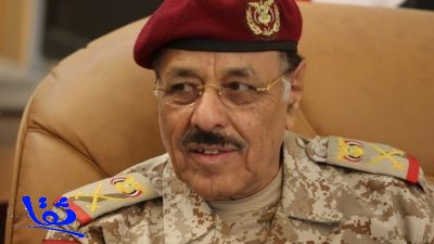 الأحمر: قادة الخليج أظهروا قدرة غير عادية في انتشال اليمن من متاعبه