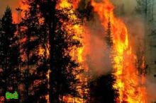 اجلا 1000 شخص بسبب حرائق الغابات في ابيثا الاسبانية 