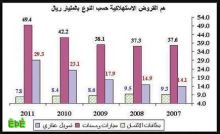 تراكم القروض.. القشة التي تقصم ظهر الاقتصاد السعوديون يقترضون 205 مليارات في 5 سنوات لاقتناء السيارات 