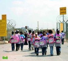 ألف طالب فلسطيني يتضامنون مع أطفال اليابان 