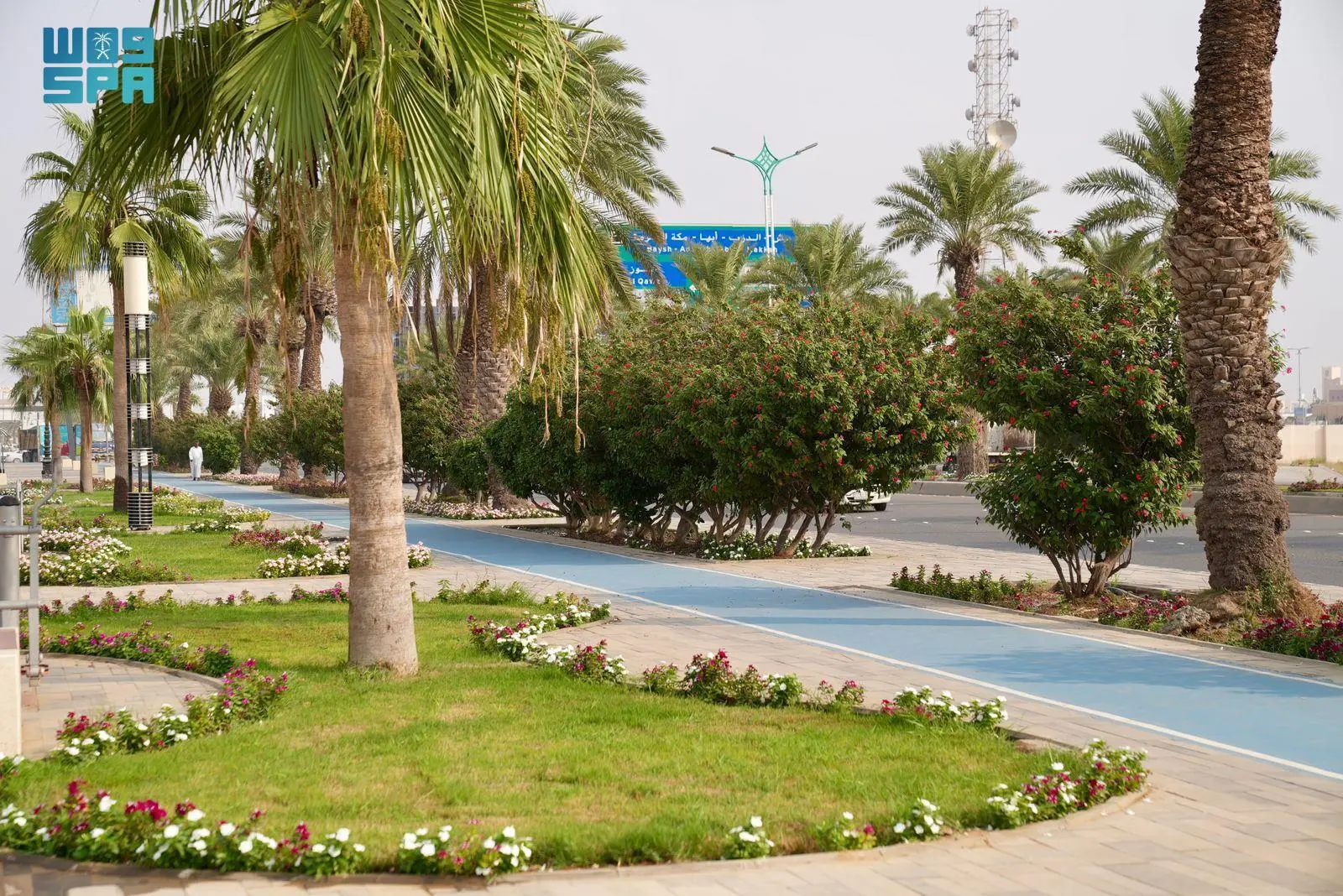 "صبيا".. وجهة سياحية واعدة بتنوعها الثقافي وجمالها الطبيعي "صبيا".. وجهة سياحية واعدة بتنوعها الثقافي وجمالها الطبيعي