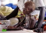 الحملة الوطنية لإغاثة الشعب الصومالي تقدم دفعة من التمور لمتضرري المجاعة
