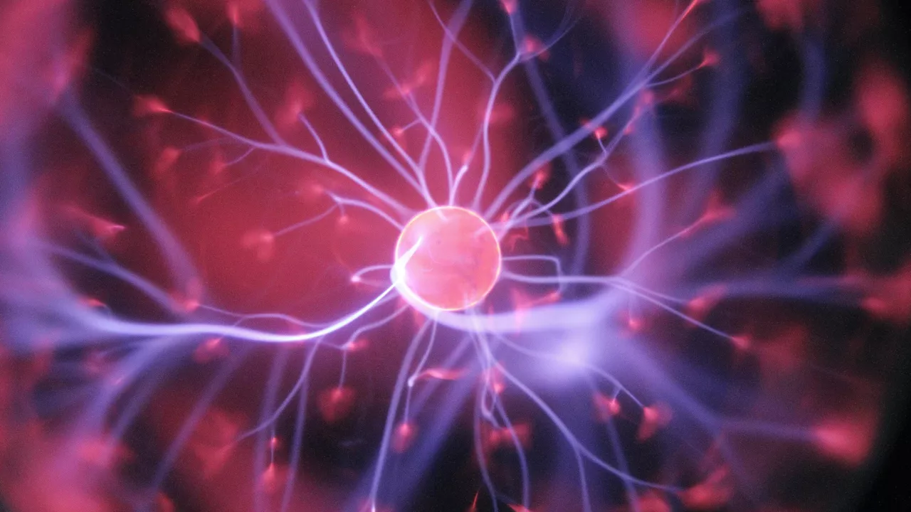 باحثون يؤكدون وجود حاسة سادسة لدى الإنسان باحثون يؤكدون وجود حاسة سادسة لدى الإنسان