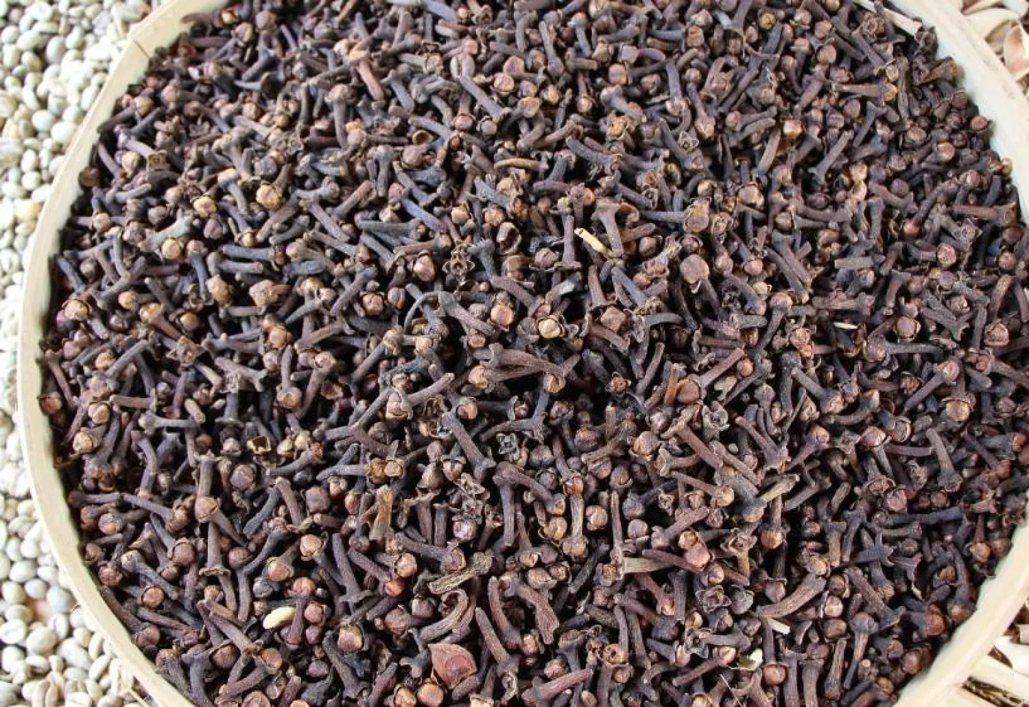 ما دور القرنفل في تنظيم مستويات السكر بالدم؟