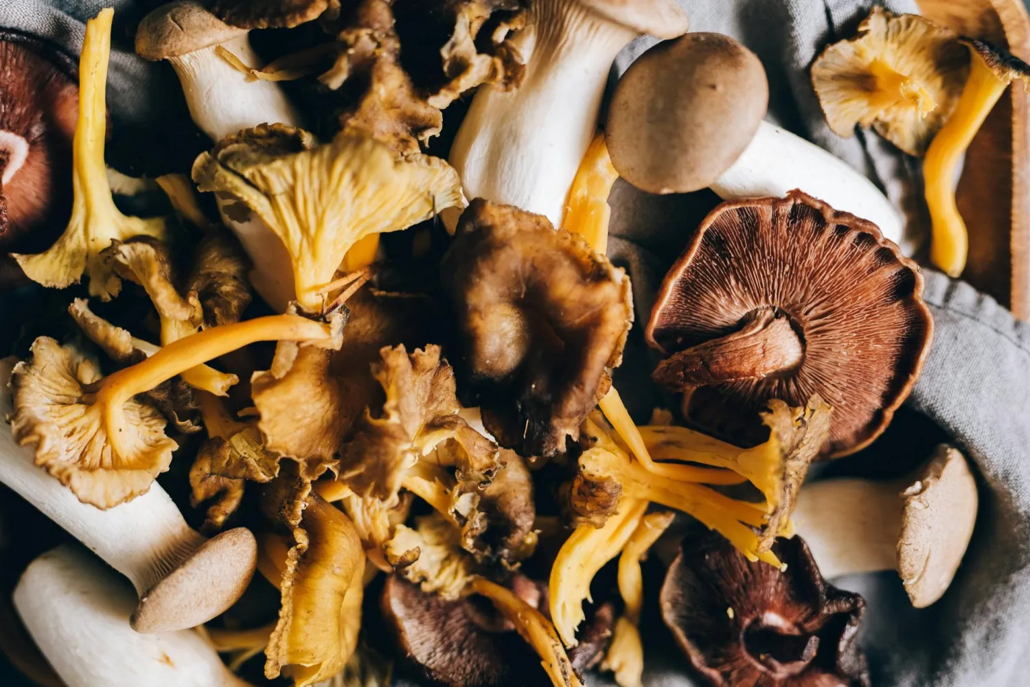 7 فوائد لتناول فطر شيتاكي بانتظام