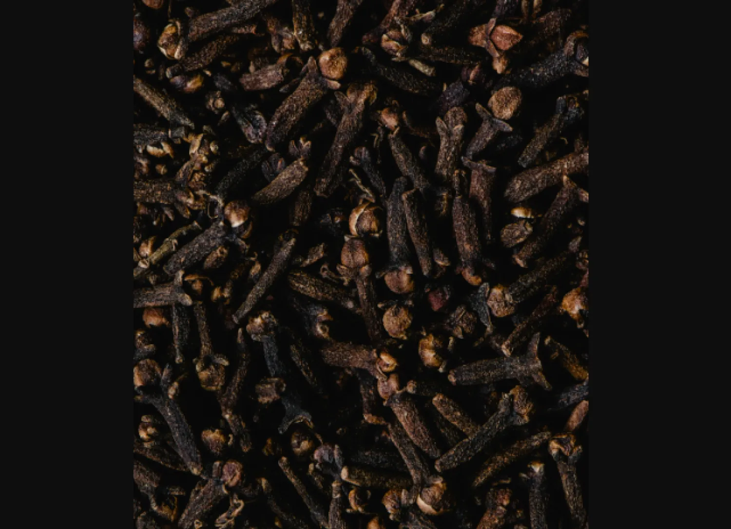 فوائد القرنفل… كنز طبيعي لصحة الجهاز الهضمي وحماية الجسم من العدوى