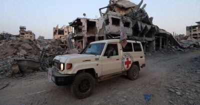 استئناف عملية البحث عن رفات آخر محتجز في قطاع غزة استئناف عملية البحث عن رفات آخر محتجز في قطاع غزة