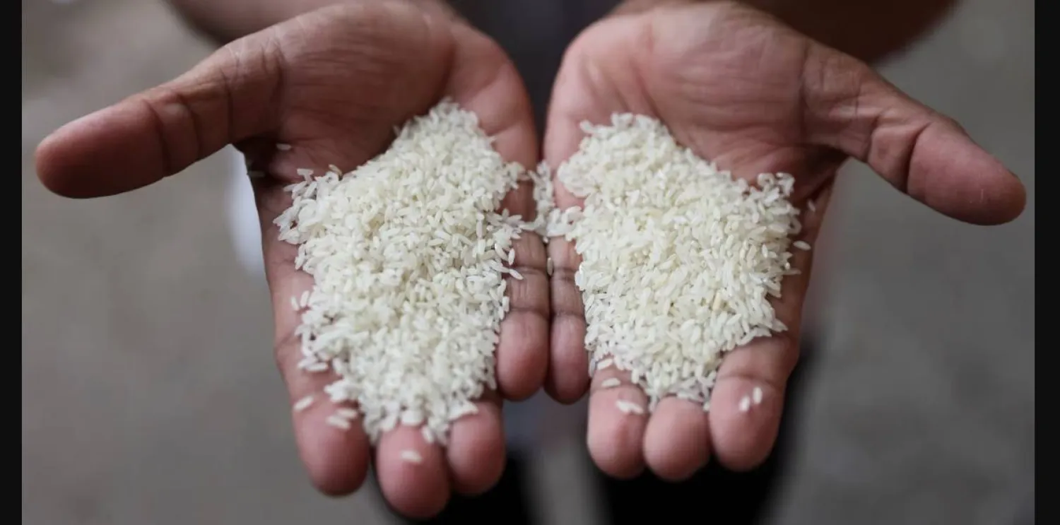 الأرز البني مقابل الأبيض: أيهما الخيار الصحي؟ الأرز البني مقابل الأبيض: أيهما الخيار الصحي؟