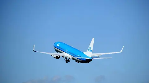 فأر يُثير الفوضى على متن رحلة جوية