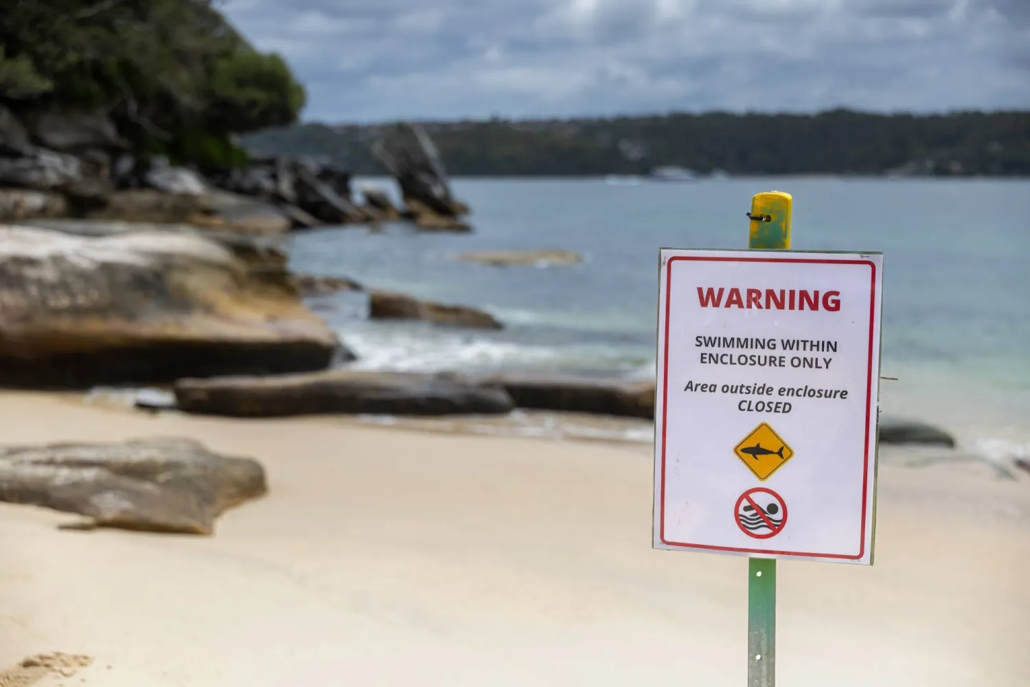 هجوم قرش في ميناء سيدني ينهي حياة صبي أسترالي