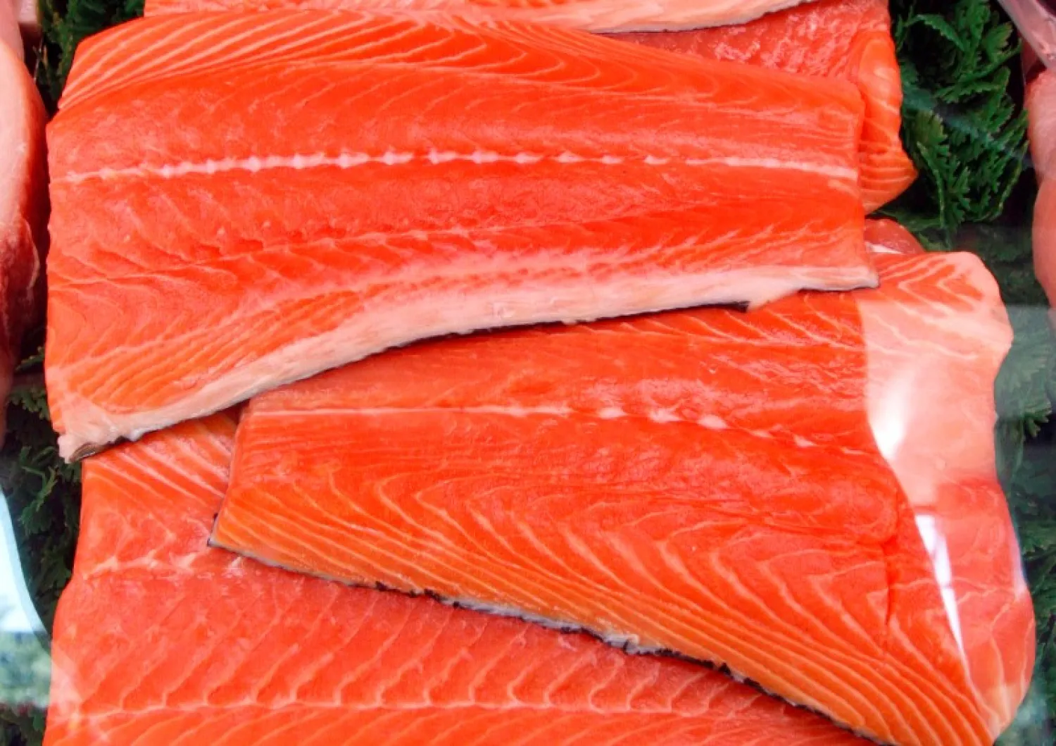 البيض أم السلمون؟ أيهما أفضل لصحة القلب والكوليسترول وضغط الدم