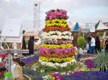 مهرجان ربيع الرياض يوزع 6000 زهرة على ضيوفه 