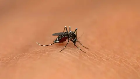 حيلة ذكية لتخفيف حكة لدغات البعوض بسرعة