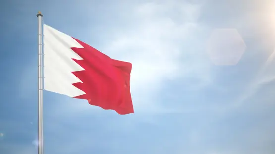 البحرين: ضبط 15 شخصاً مرتبطين بـ«عملاء إيران» البحرين: ضبط 15 شخصاً مرتبطين بـ«عملاء إيران»