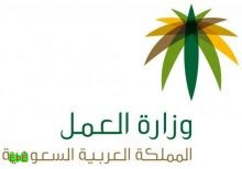 وزارة العمل : قصر العمل في محال الاتصالات على السعوديين