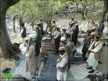  طالبان تعلن شن حملة ضد الحلف الاطلسي 