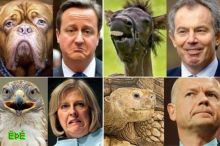 بالصور.. تعبيرات سياسيين أوروبيين تدخلهم مملكة الحيوان !	