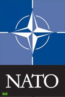 الناتو يعلن استعداده للمساعدة على تأهيل  الجيش الليبي