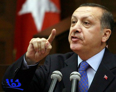 أردوغان : تركيا ليس لدىها نية للتدخل في الشؤون الداخلية لسوريا
