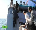 حرس الحدود ينقذ 32 صياداً مصرياً في البحر الاحمر  